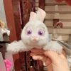 HKDL - Judy Hopps 3D Plush Hair Clip -Disney 87E5A990 EFDA 4611 AFE2 D97EC617A969