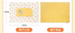 SHDL - Winnie The Pooh Homey Collection X Winnie The Pooh Cushion & Blanket Set -Disney F396EBD1 BF18 4F81 AA68 1A5E8BC201FD