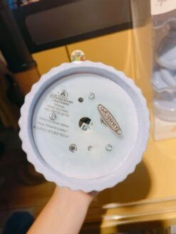 SHDL - StellaLou & Flower Music Statue -Disney WhatsAppImage2022 08 08at4.30.51PM