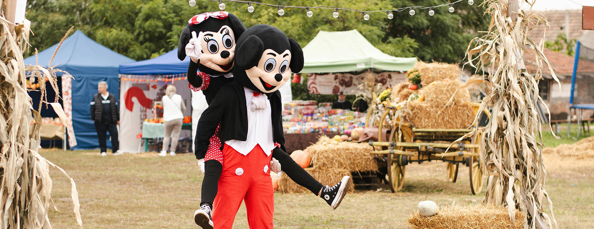 Disney -Disney pexels ionela mat 268382825 28841206